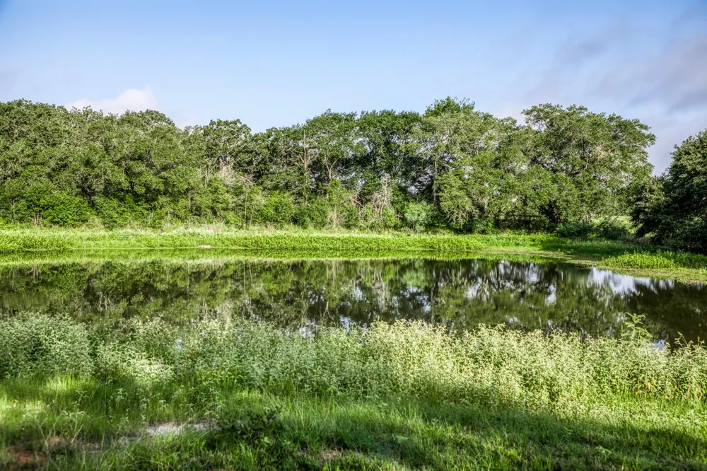 2 S Nassau Road Round Top, TX 78954