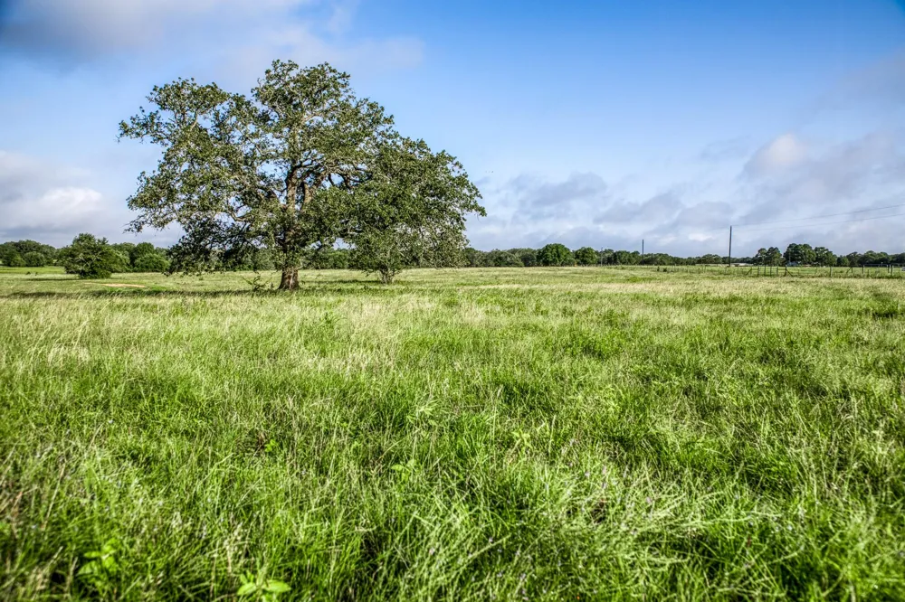 2 S Nassau Road Round Top, TX 78954
