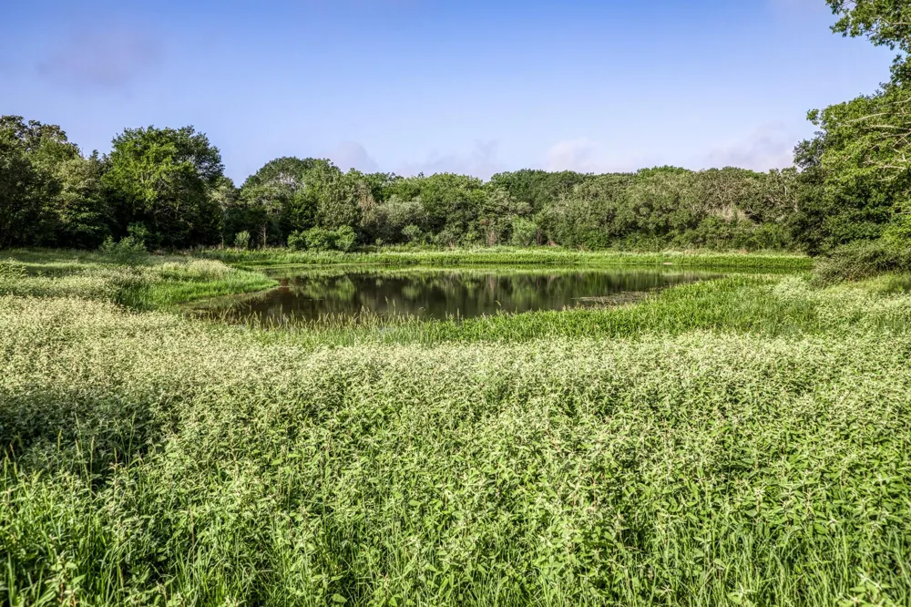 2 S Nassau Road Round Top, TX 78954