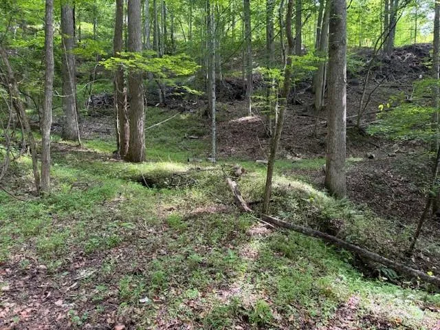 0 Cane Mountain Lane Burnsville, NC 28714