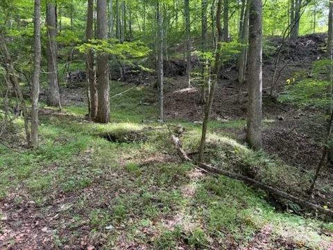 0 Cane Mountain Lane