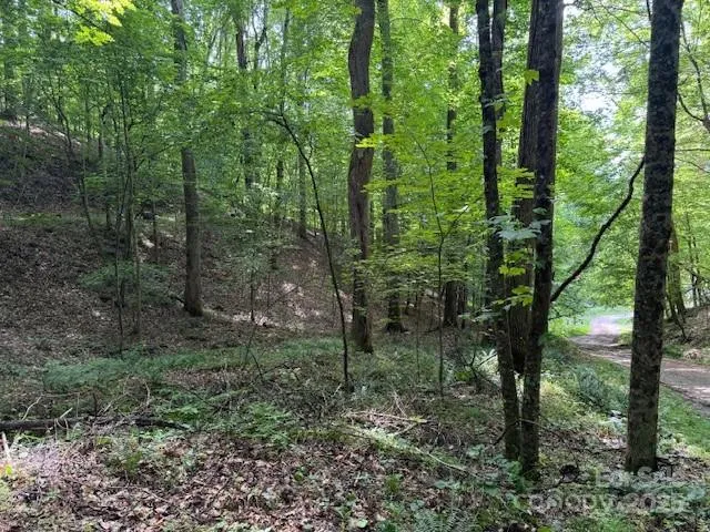 0 Cane Mountain Lane Burnsville, NC 28714