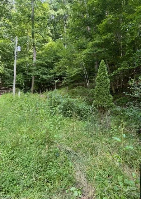 0 Cane Mountain Lane Burnsville, NC 28714