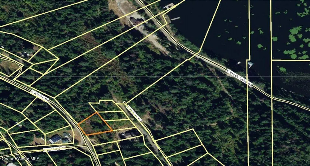 .29 Acres Hinds Drive St. Maries, ID 83861
