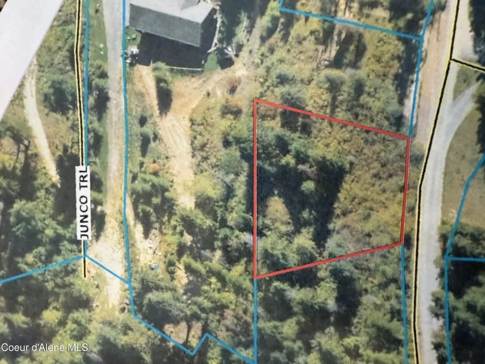 .29 Acres Hinds Drive St. Maries, ID 83861