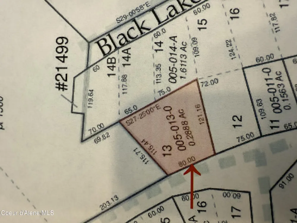 .29 Acres Hinds Drive St. Maries, ID 83861