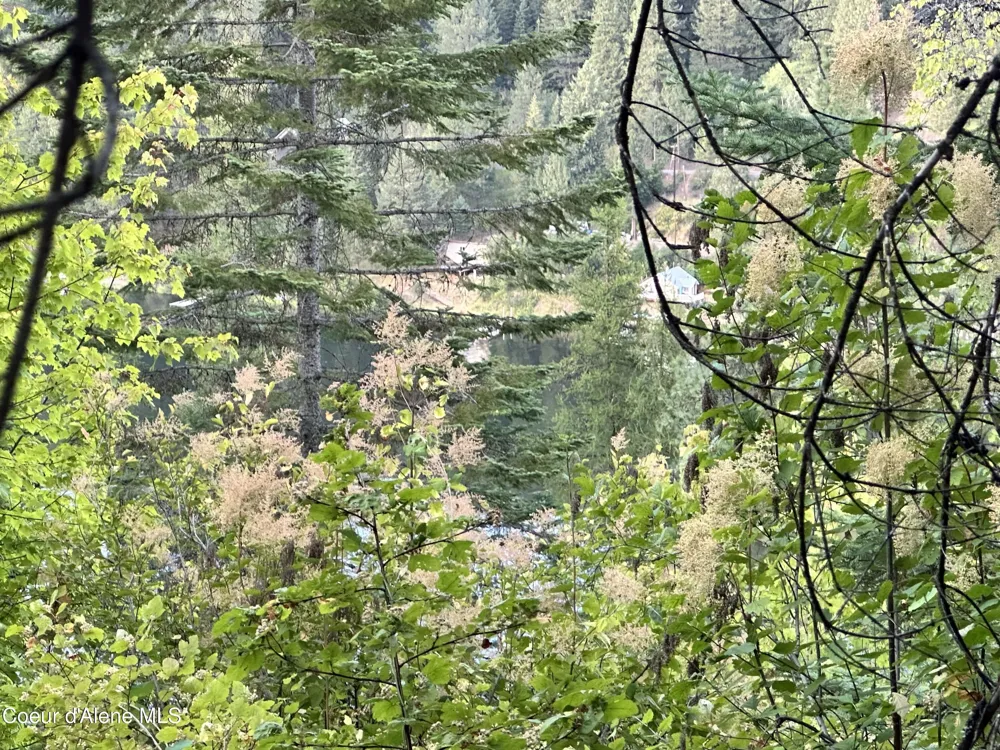 .29 Acres Hinds Drive St. Maries, ID 83861