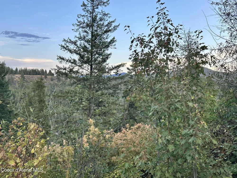 .29 Acres Hinds Drive St. Maries, ID 83861