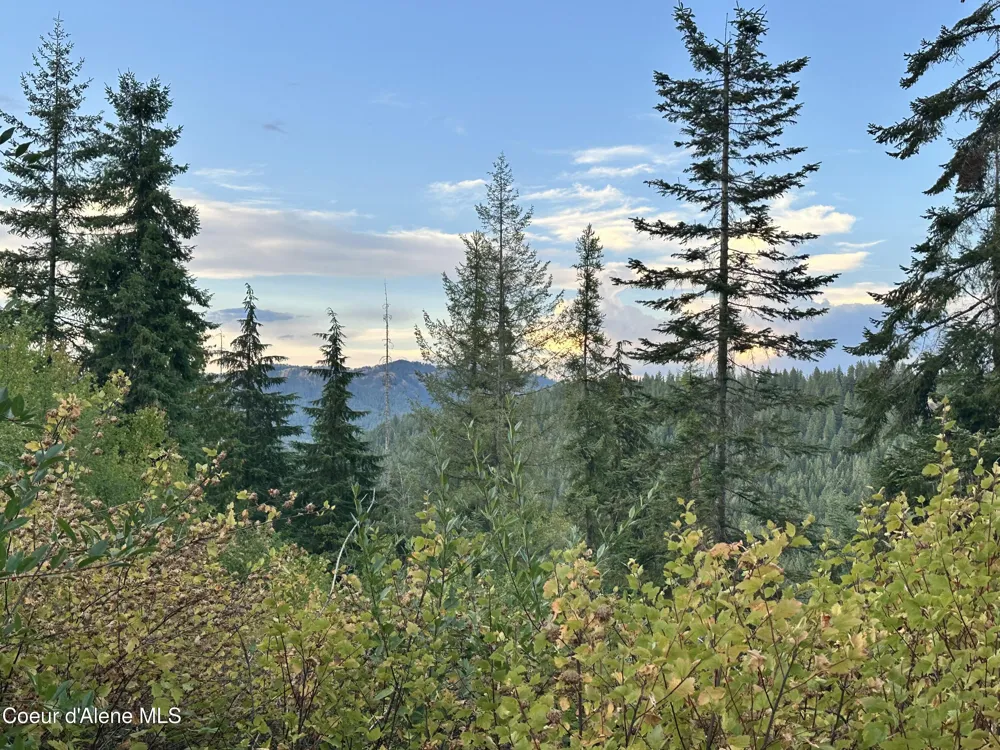 .29 Acres Hinds Drive St. Maries, ID 83861