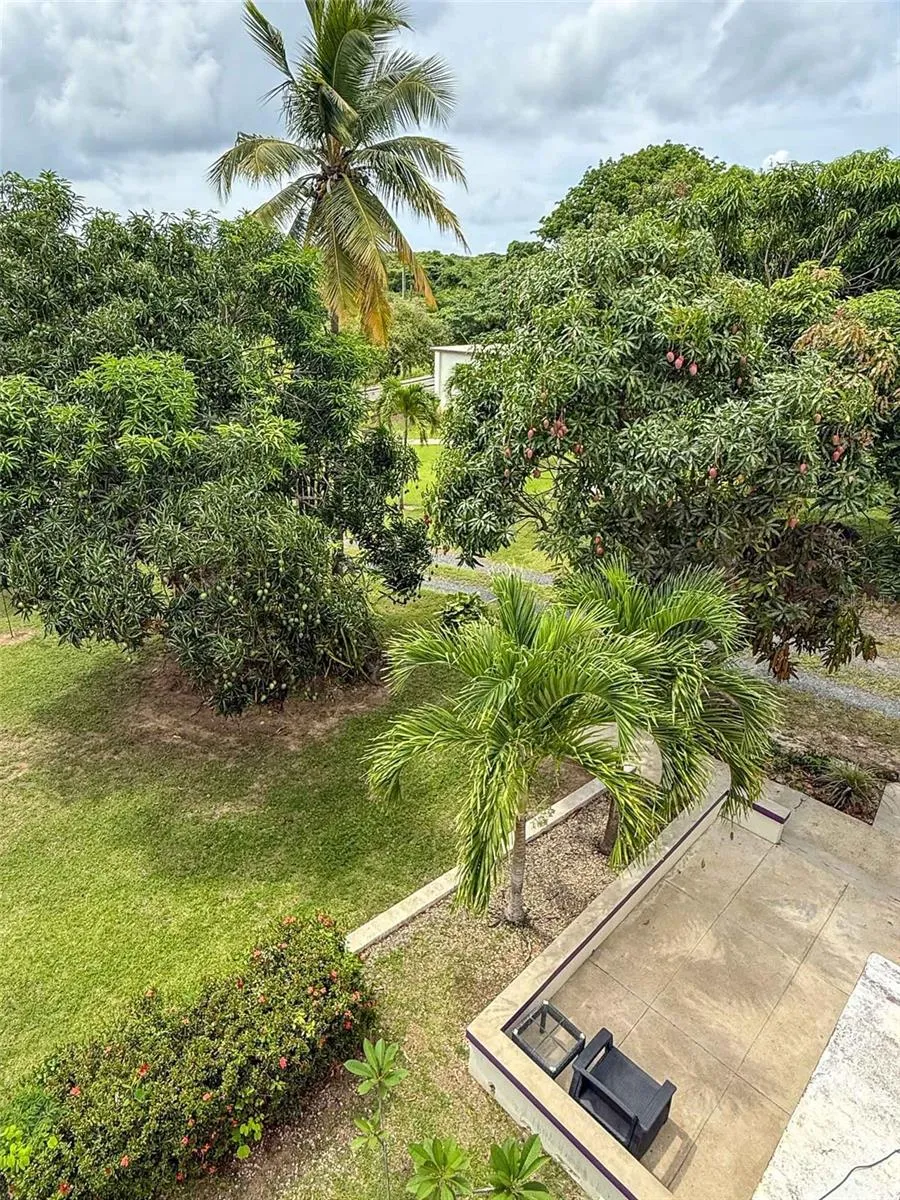 2.6 CARR 200 Vieques, PR 00765