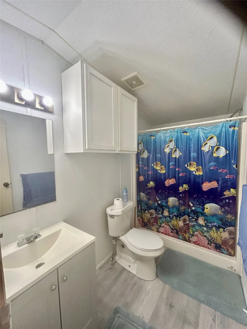 204 4th Street Seadrift, TX 77983