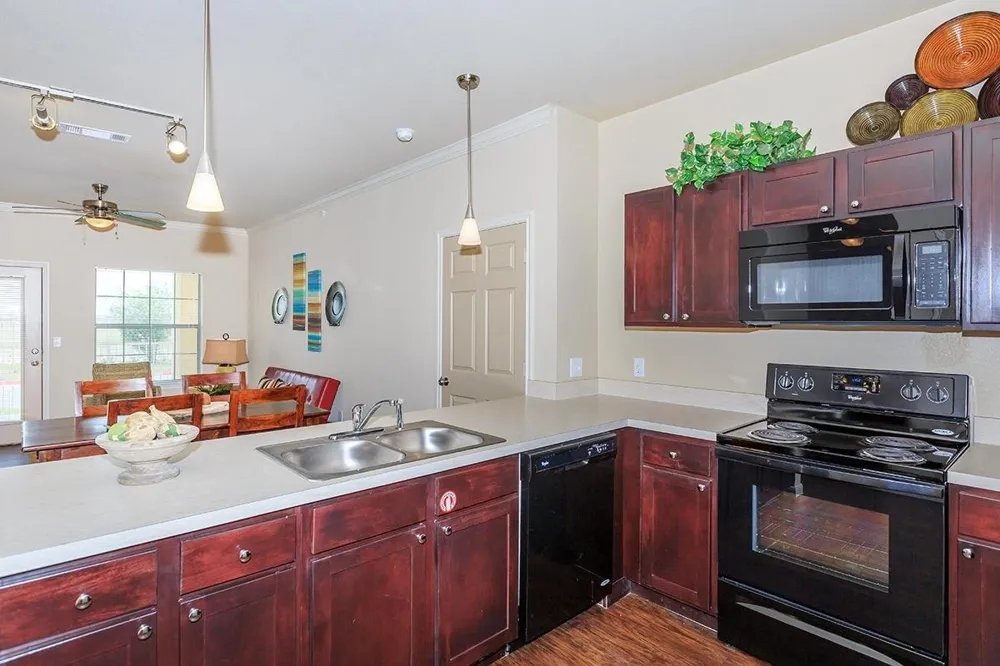 315 Butterfly Garden Dr Rio Grande City, TX 78582