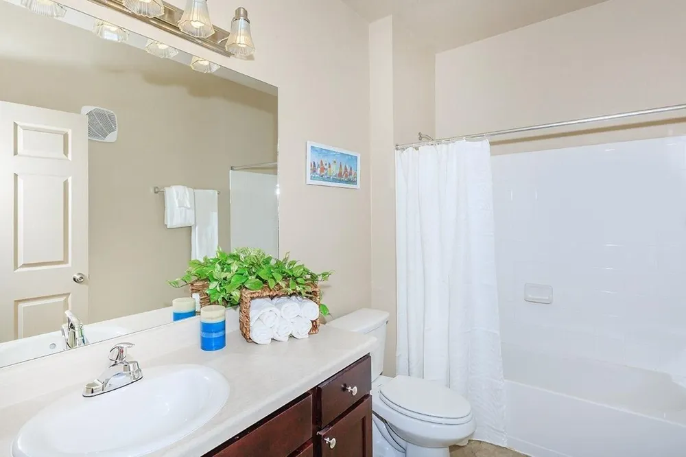 315 Butterfly Garden Dr Rio Grande City, TX 78582