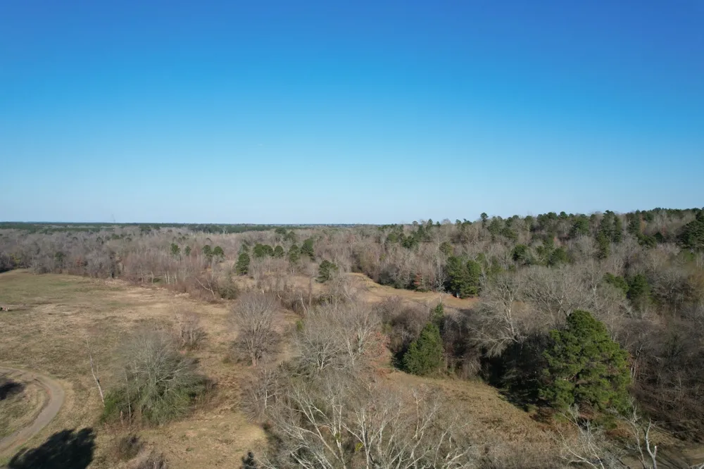 Reeves Rd Garrison, TX 75945