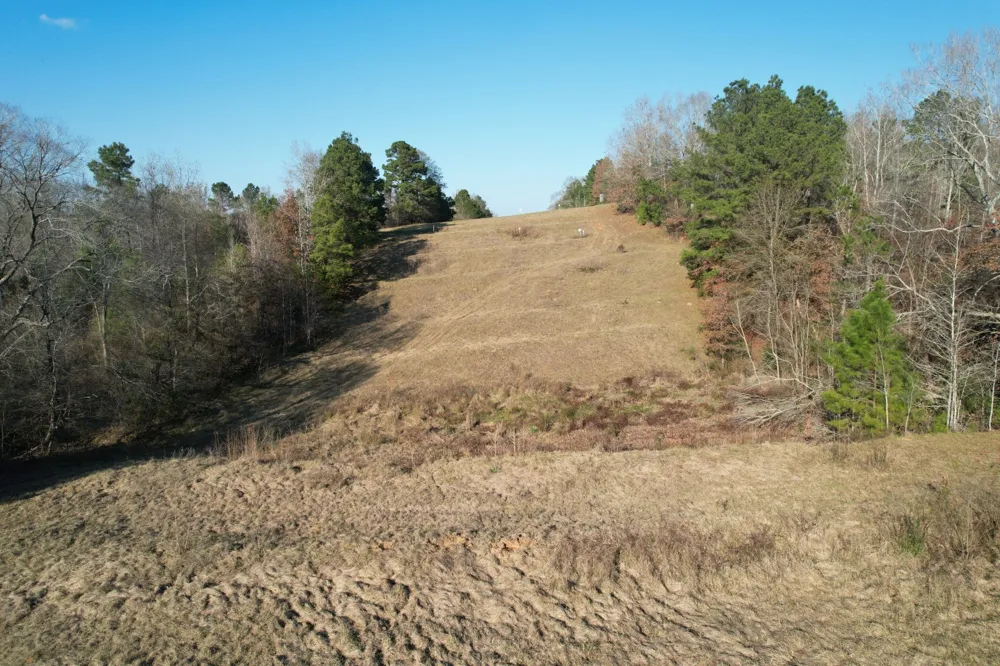 Reeves Rd Garrison, TX 75945