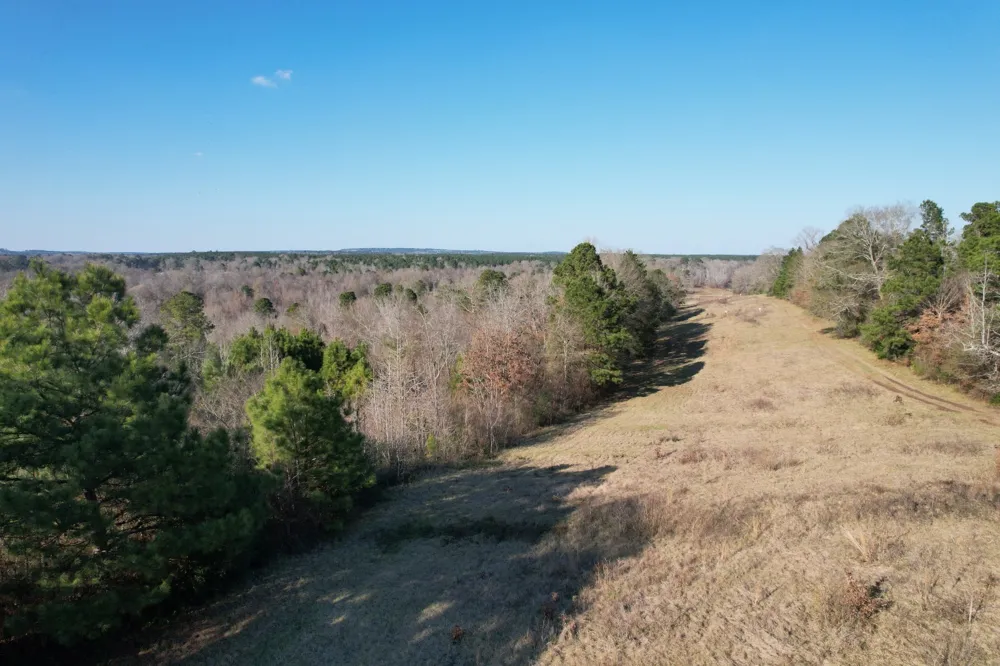 Reeves Rd Garrison, TX 75945