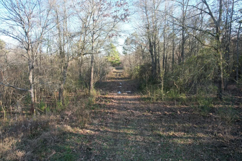Reeves Rd Garrison, TX 75945