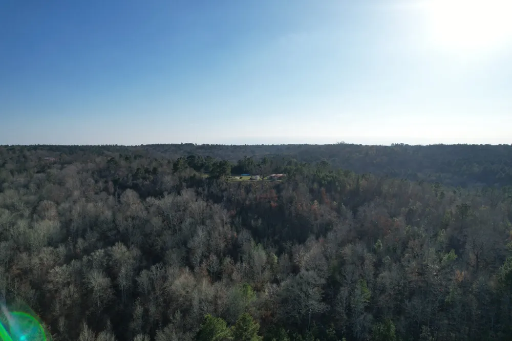 Reeves Rd Garrison, TX 75945