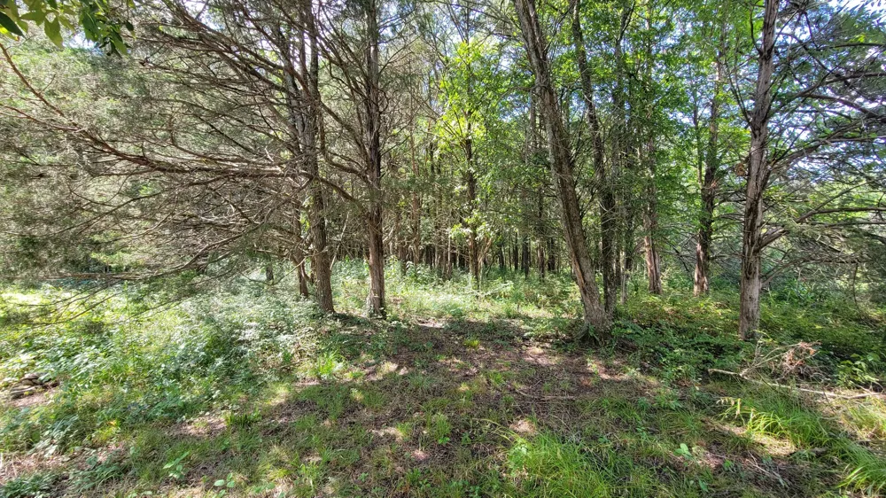 0 Murray Kittrell Rd Readyville, TN 37149