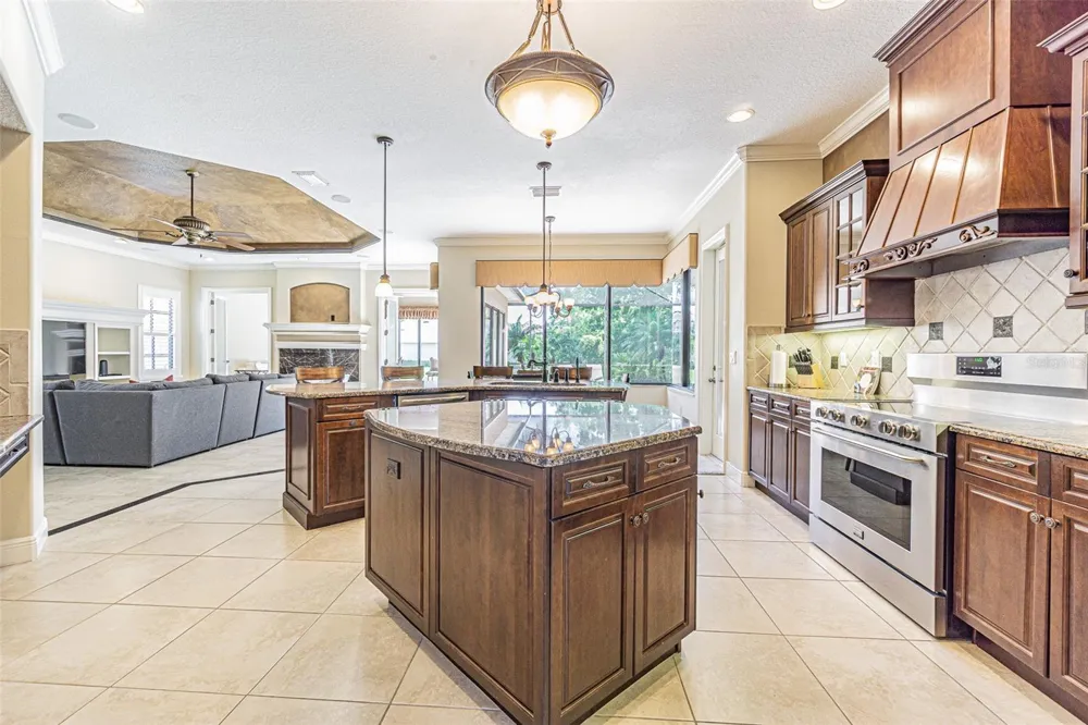 20411 LACE CASCADE ROAD Land O Lakes, FL 34637
