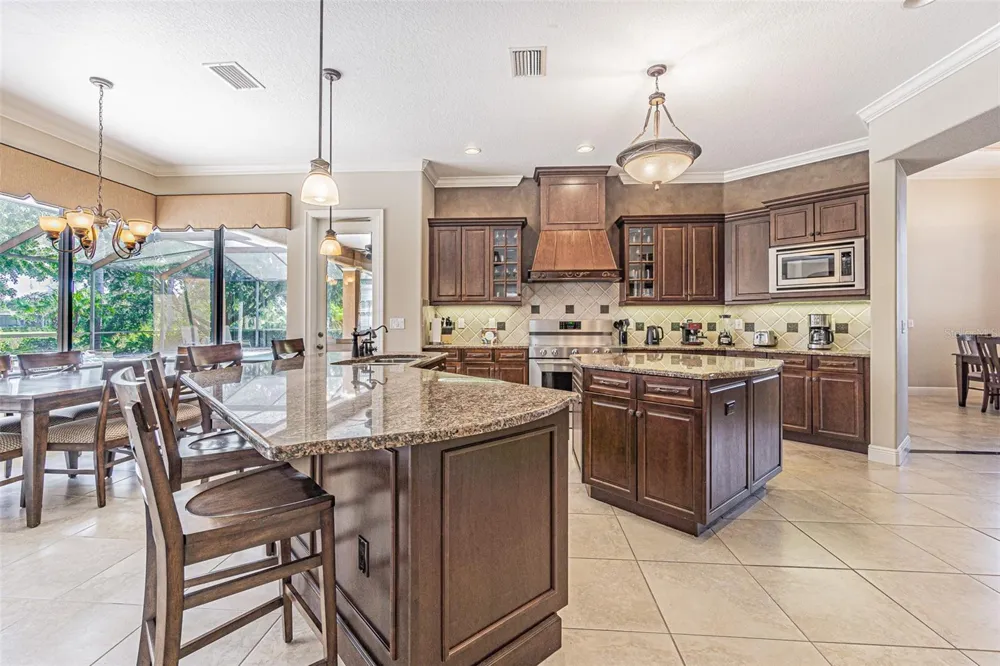 20411 LACE CASCADE ROAD Land O Lakes, FL 34637