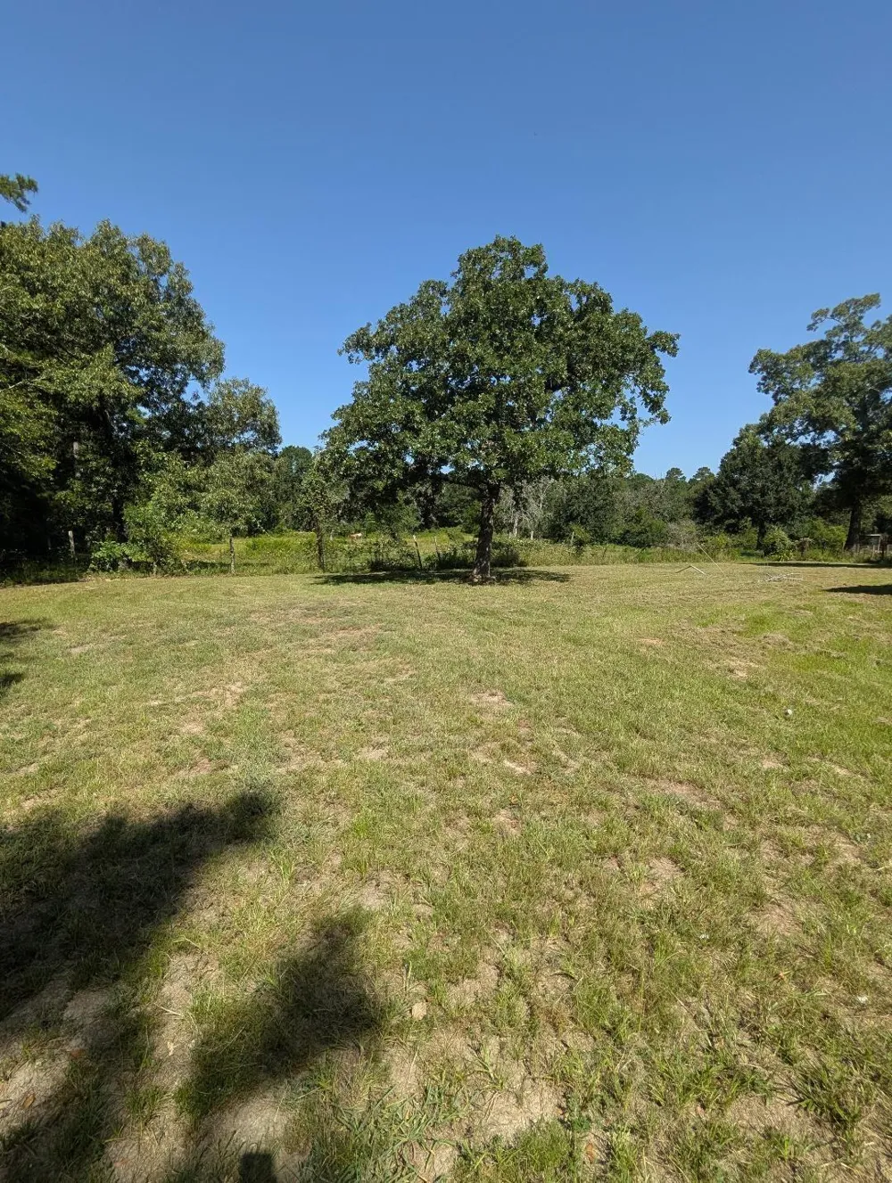 County Road 304 Navasota, TX 77868