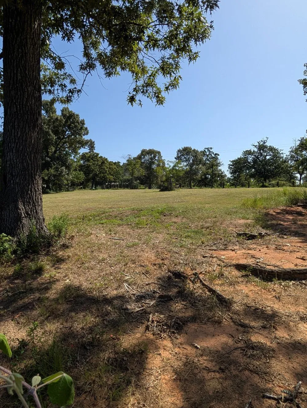 County Road 304 Navasota, TX 77868