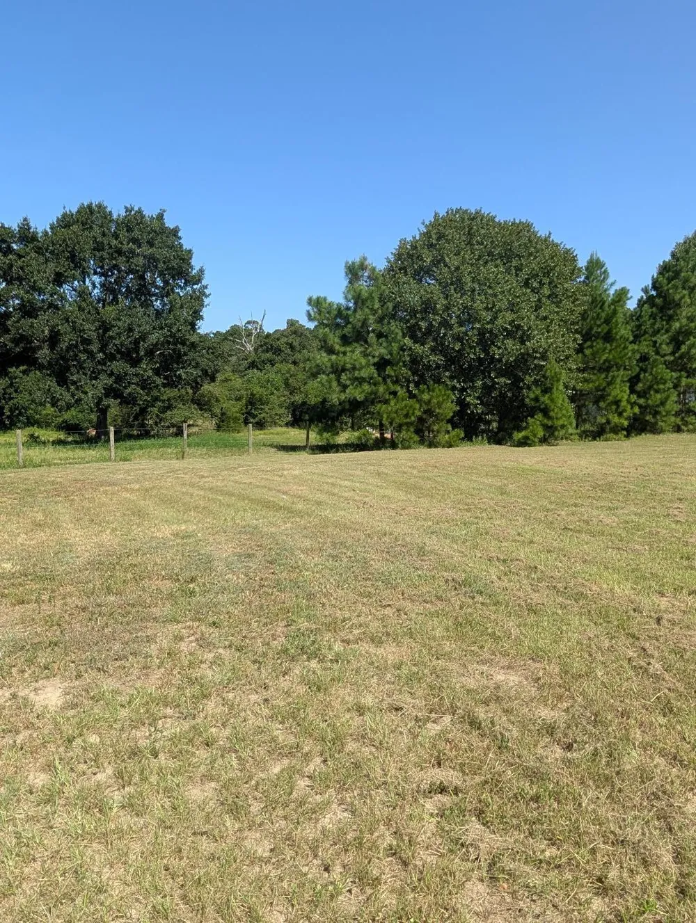 County Road 304 Navasota, TX 77868