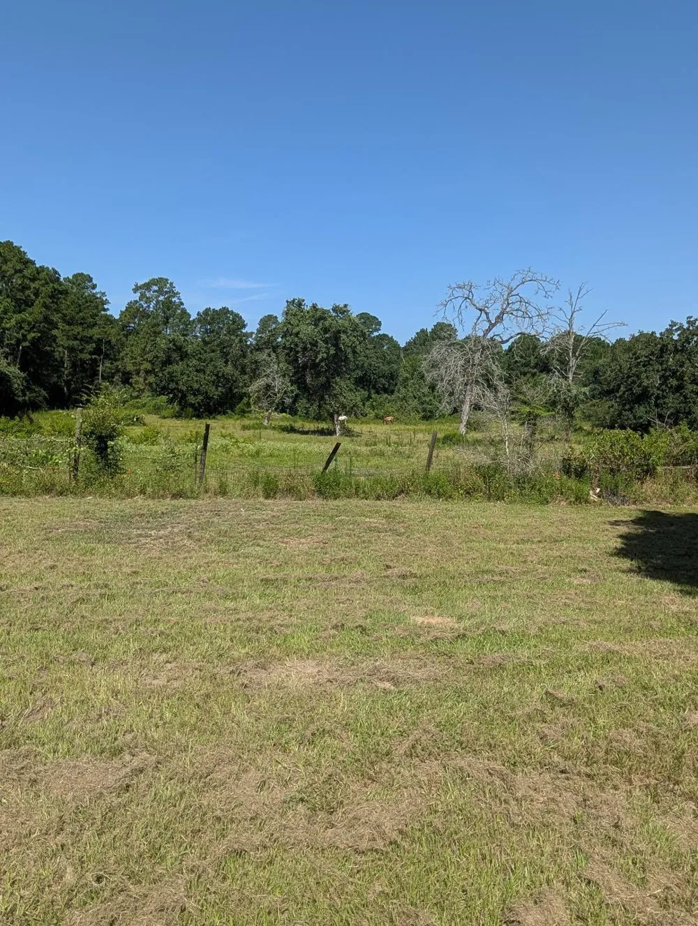 County Road 304 Navasota, TX 77868