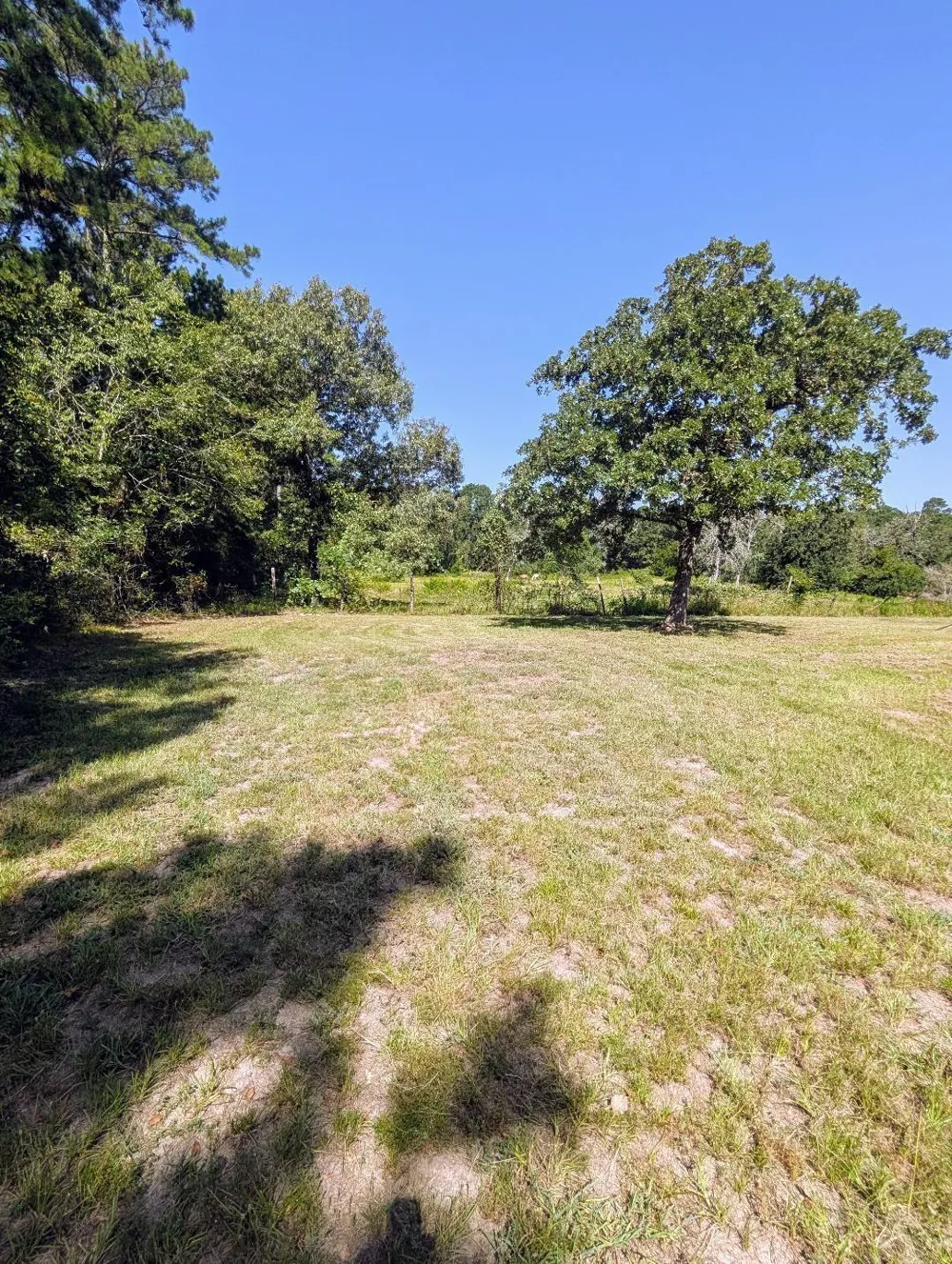 County Road 304 Navasota, TX 77868