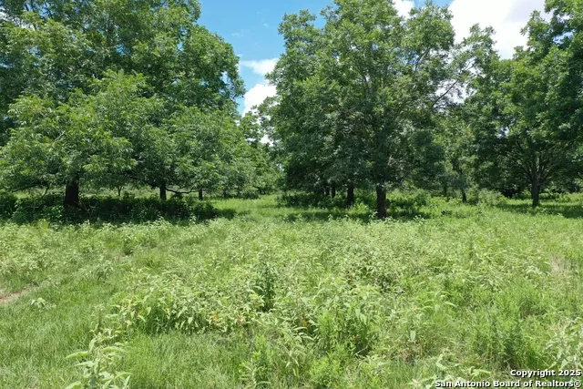 0 County Rd 240 Waelder, TX 78632