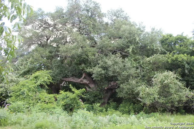0 County Rd 240 Waelder, TX 78632