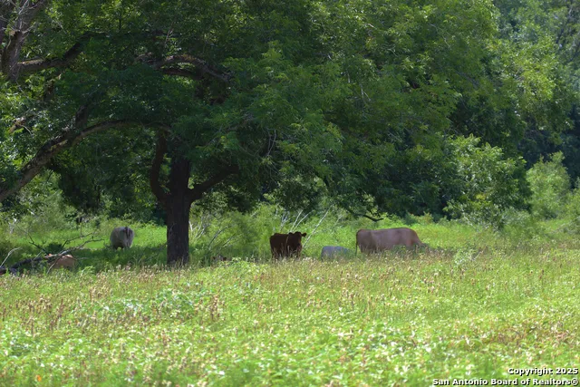 0 County Rd 240 Waelder, TX 78632