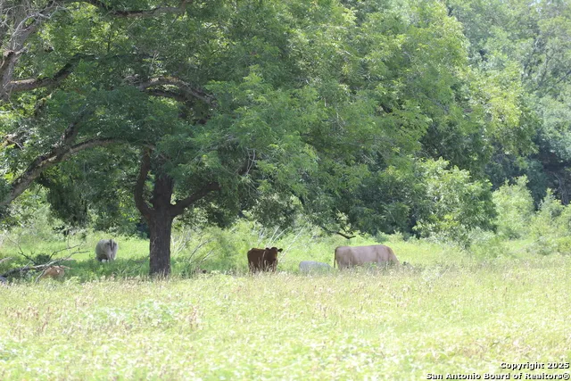 0 County Rd 240 Waelder, TX 78632