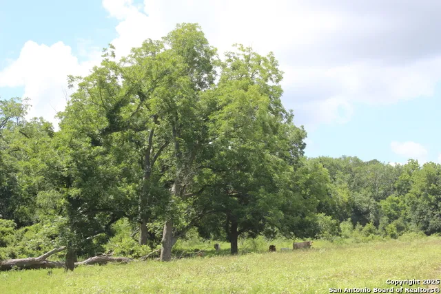 0 County Rd 240 Waelder, TX 78632
