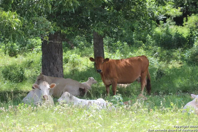 0 County Rd 240 Waelder, TX 78632