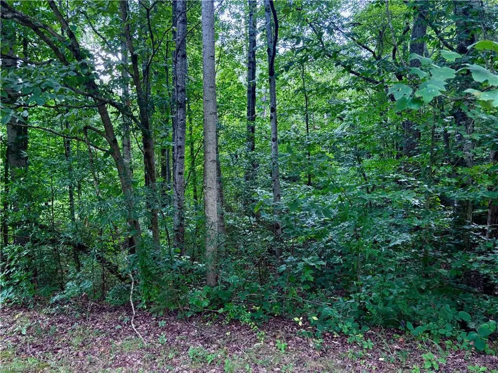 2891 Millwheel Road Pfafftown, NC 27040
