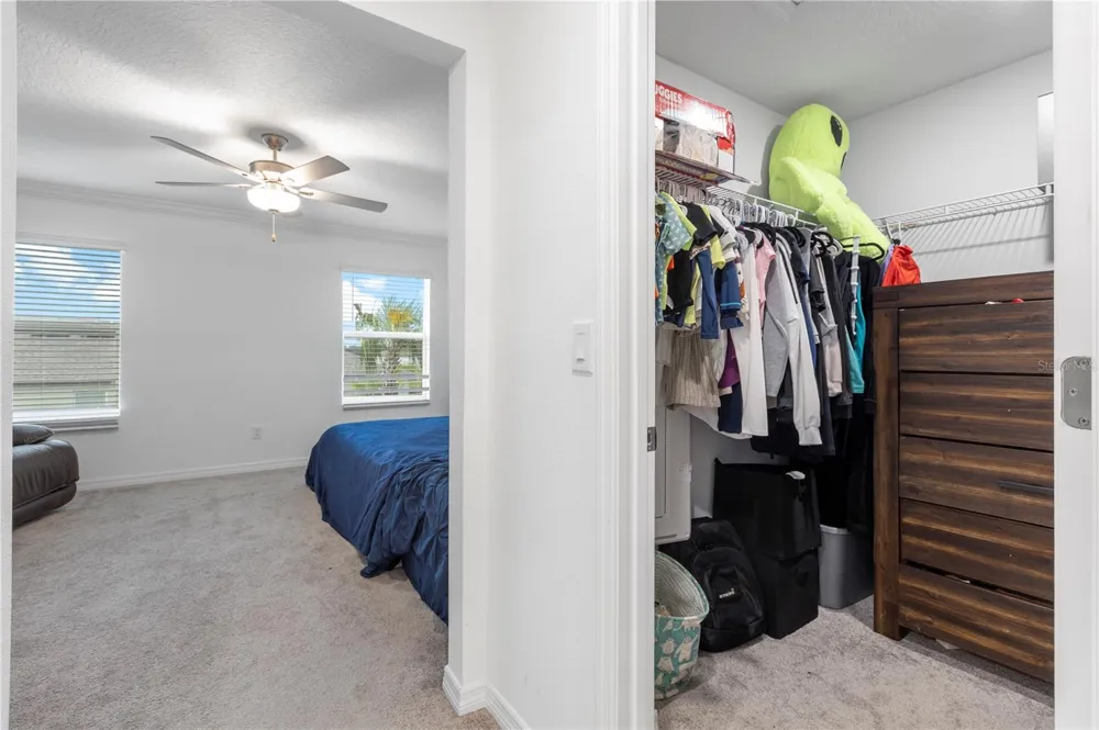 36515 CAMP FIRE TERRACE Zephyrhills, FL 33541