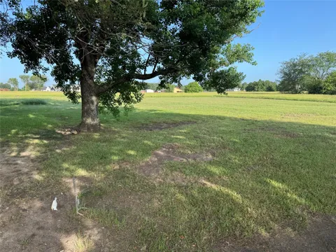 LBJ Ranch Road