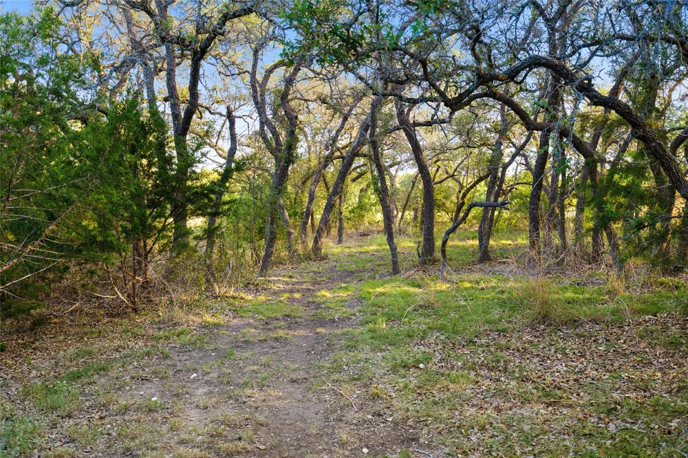 370 Gray Wolf Blanco, TX 78606