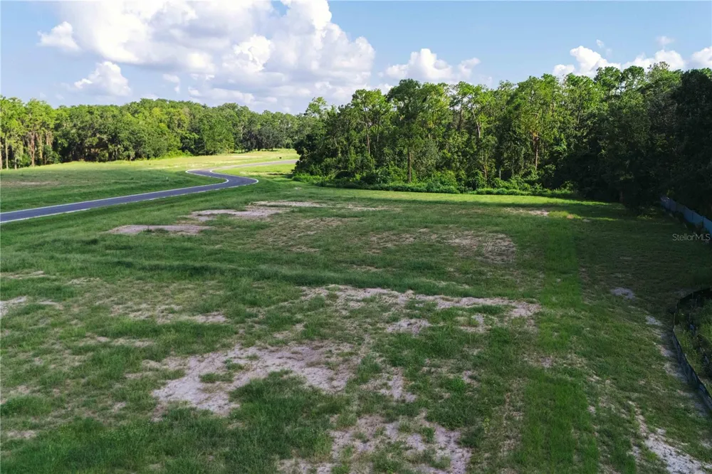 19319 DIMPLE DRIVE Odessa, FL 33556