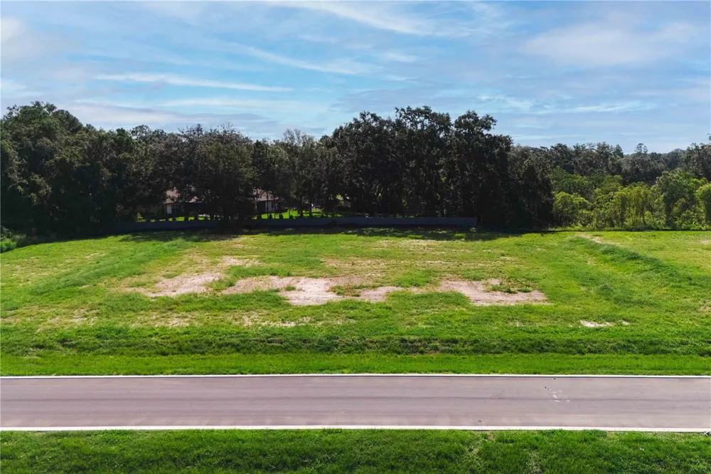 19319 DIMPLE DRIVE Odessa, FL 33556