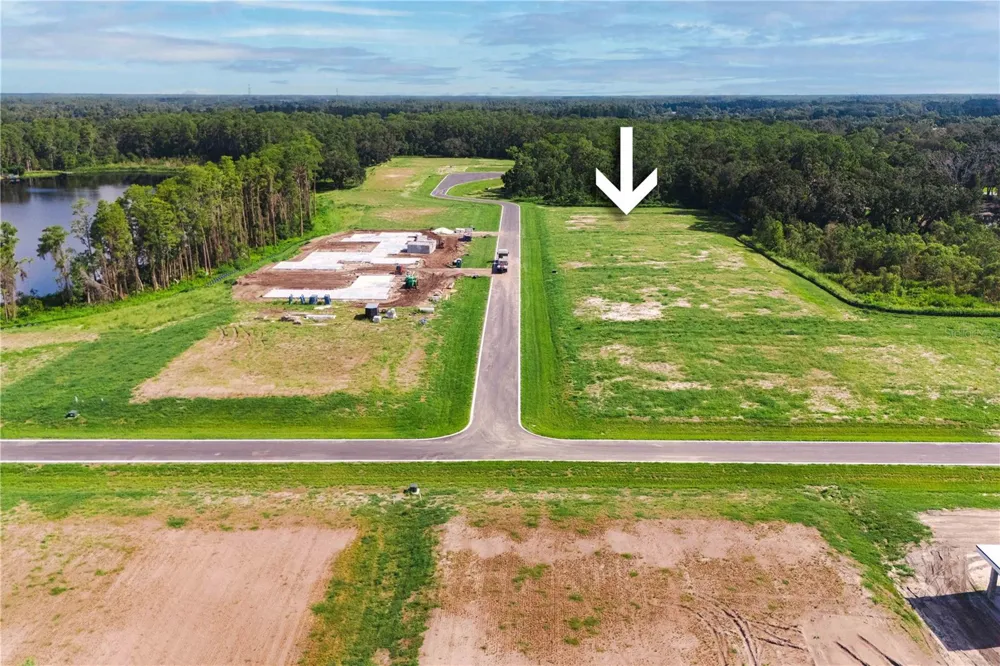 19319 DIMPLE DRIVE Odessa, FL 33556