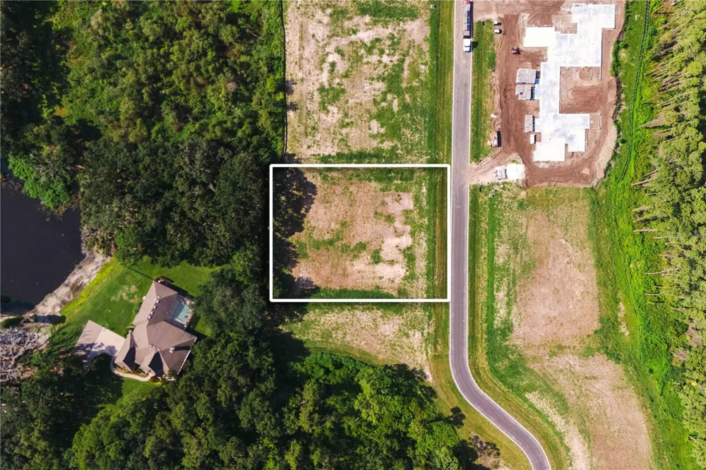 19319 DIMPLE DRIVE Odessa, FL 33556