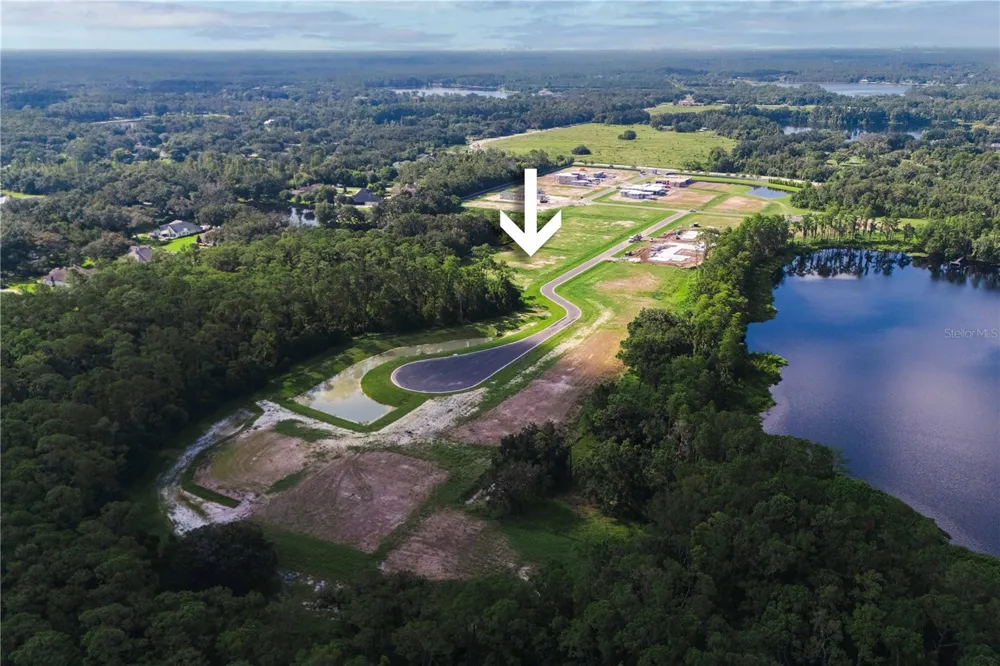 19319 DIMPLE DRIVE Odessa, FL 33556