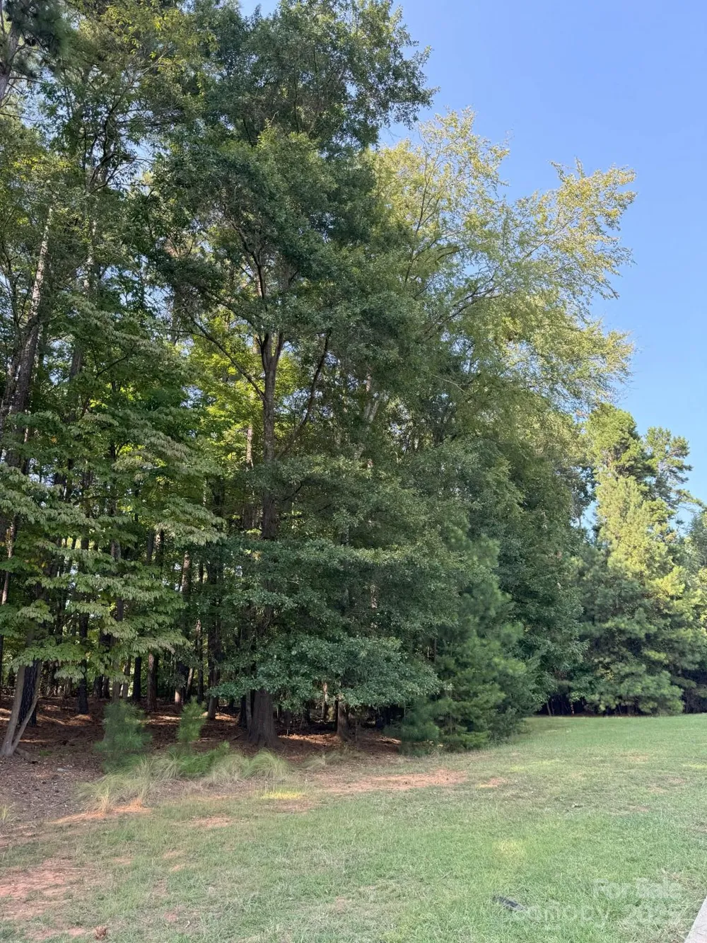1532 Reflection Pointe Boulevard Belmont, NC 28012