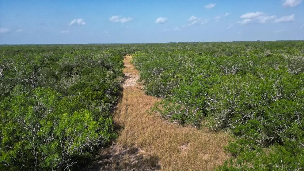 Fm 624 George West, TX 78022