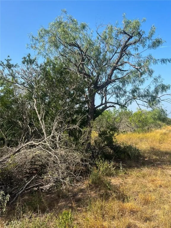 Fm 624 George West, TX 78022