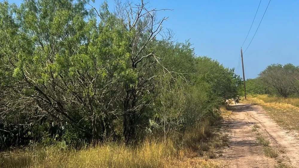 Fm 624 George West, TX 78022