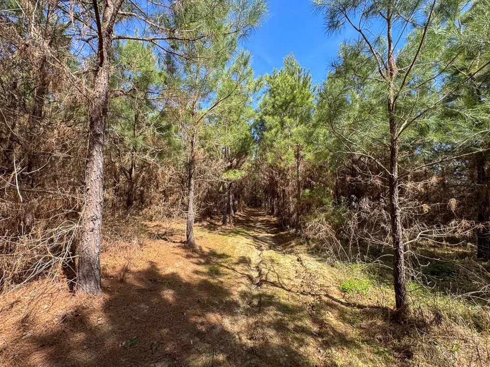8 United Gas Road 1 Rodessa, LA 71069
